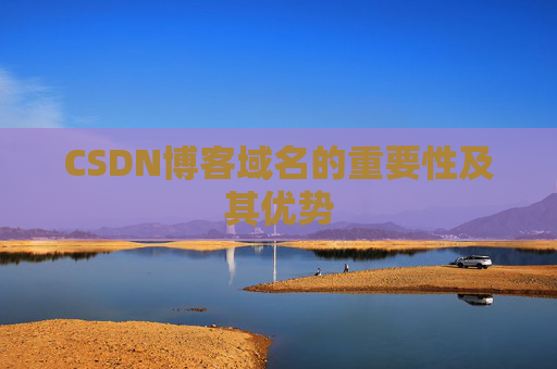 CSDN博客域名的重要性及其优势
